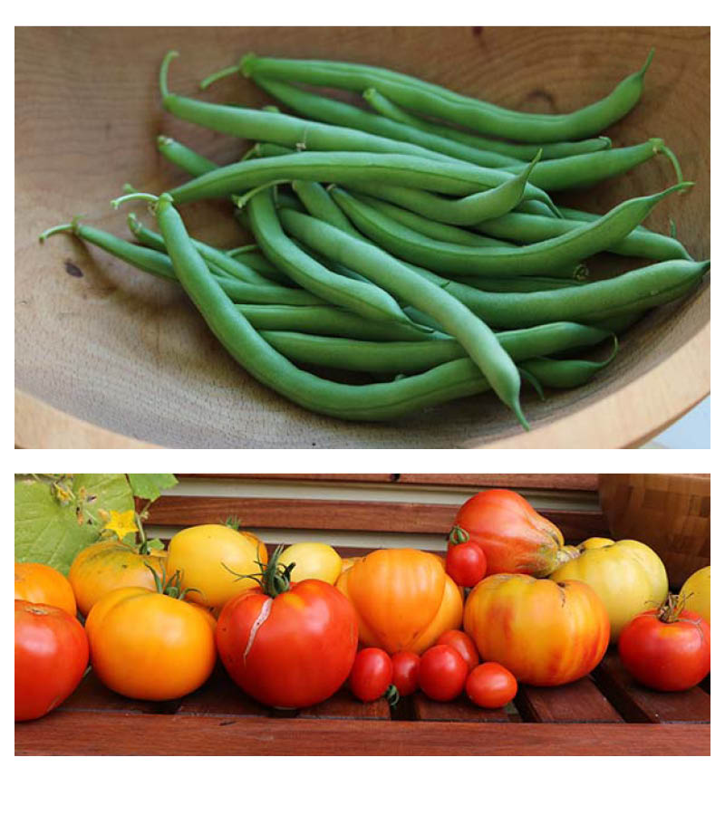 beans-and-tomatoes-3.jpg