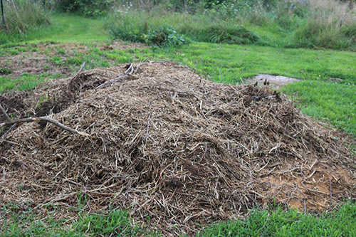 compost-pile-small.jpg