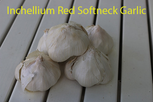 inchellium-red-small.jpg