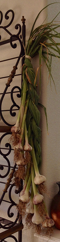 kathryn-arthur-garlic-braid.jpg
