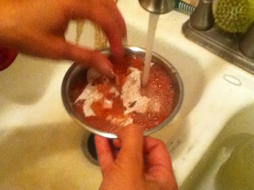 mold.jpg
