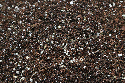 seed-starting-mix-small.jpg