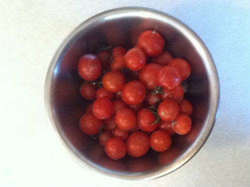 tomatoes.jpg