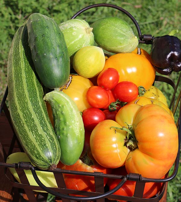 veggie-basket-5-small.jpg